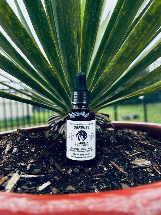 Guardian Wellness - Defense Mushroom Extract Drops