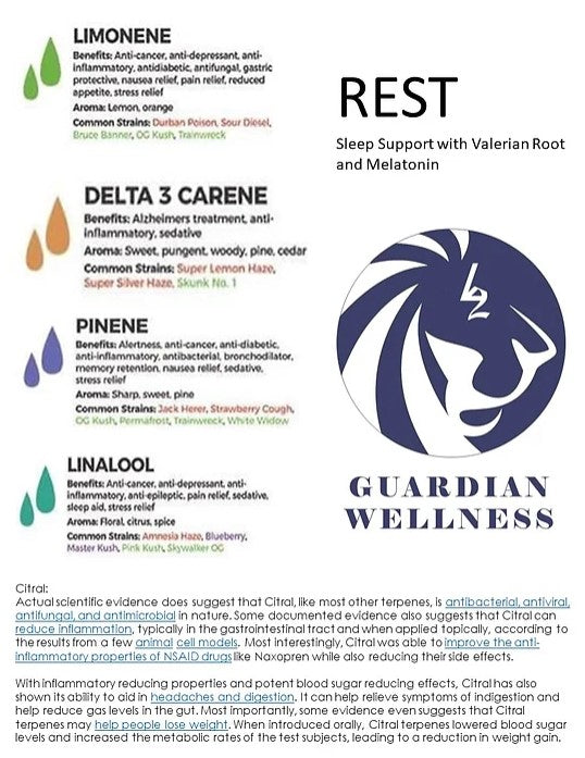 Guardian Wellness - Rest 1000mg CBD Terpene Blend in Hemp Seed Oil