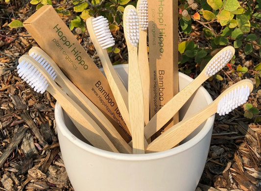 Hippotanicals Bamboo Toothbrush